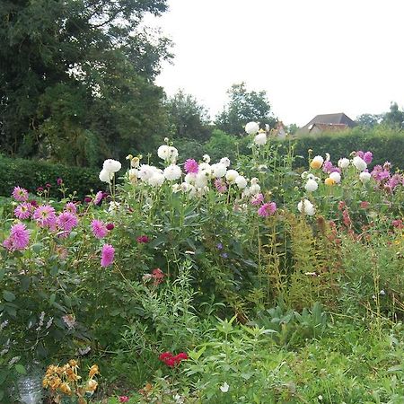 Au Clos Du Logis Maintenay ภายนอก รูปภาพ