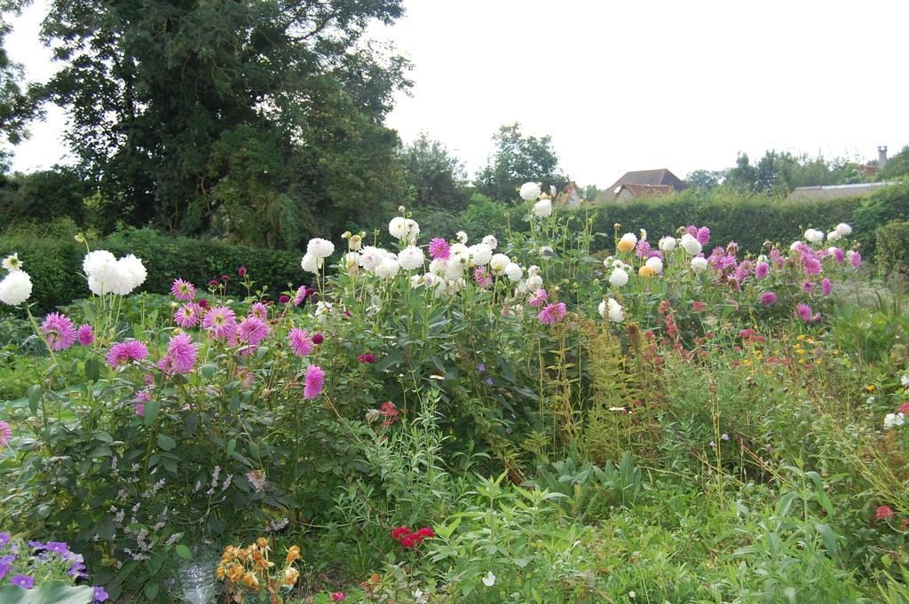 Au Clos Du Logis Maintenay ภายนอก รูปภาพ